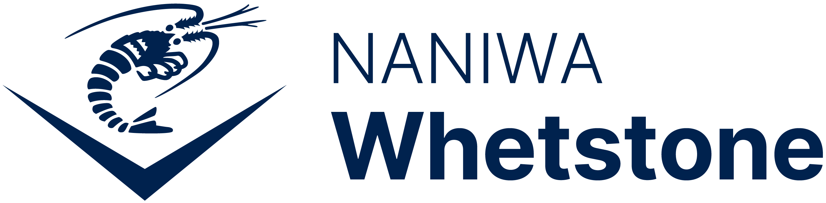 naniwa whetstone