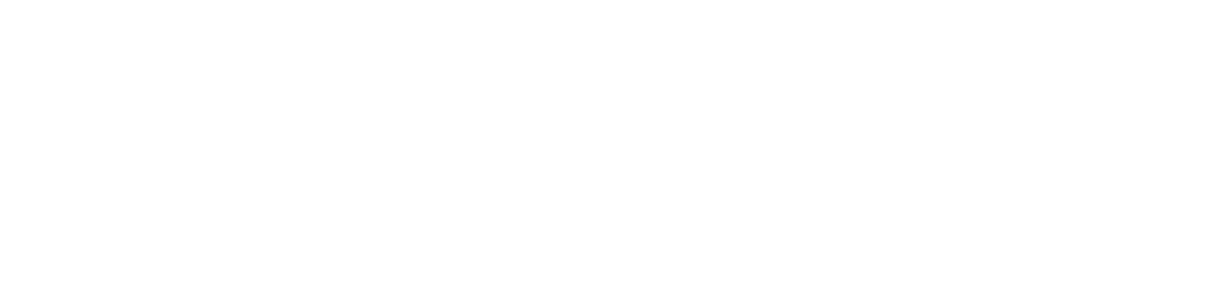 NANIWA Whetstone